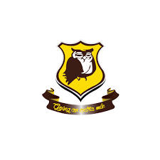 Wise Owl Group of Schools Logo